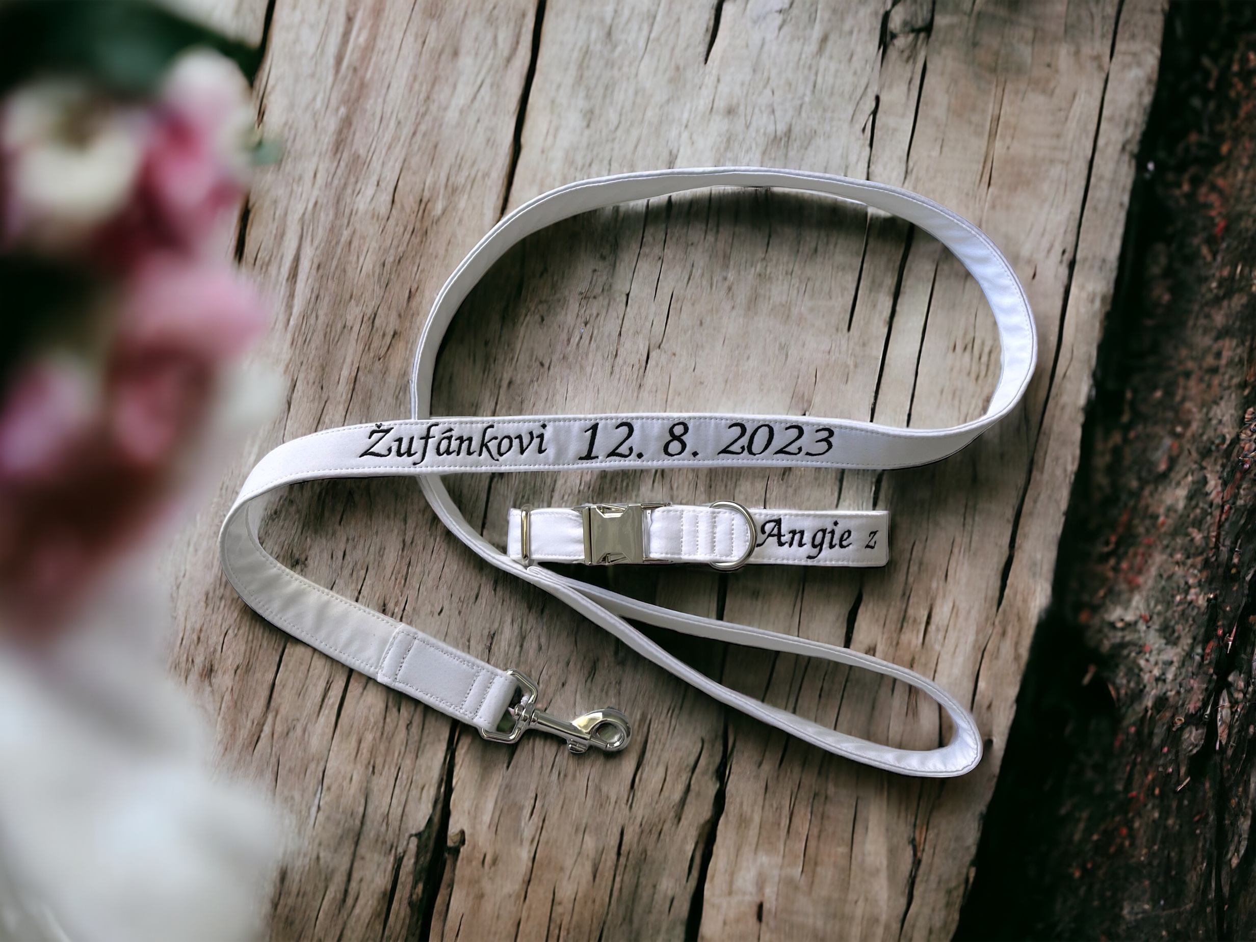 PhotoRoom_20240610_224934 (kopie)